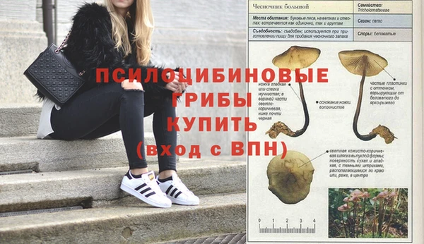 меф Белокуриха