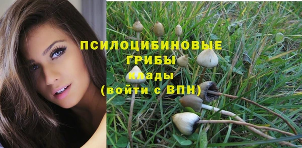 меф Белокуриха
