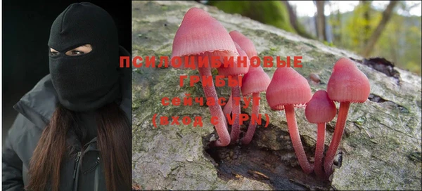 меф Белокуриха